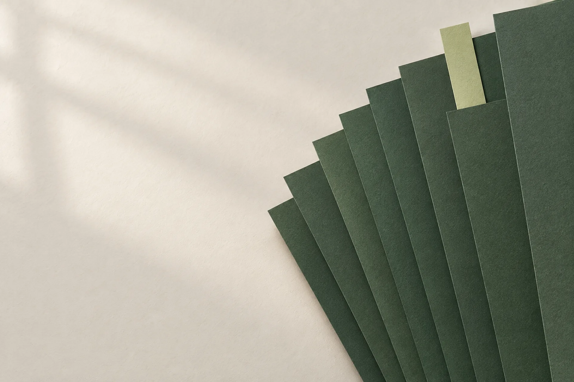 Dunkelgrüne Papierstücke liegen in einer Reihe. Dazwischen steckt ein hellgrüner Streifen wie ein Lesezeichen.